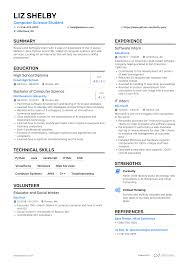 Resume Template 6